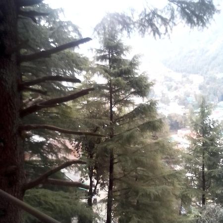 Albergue Himalayan Triund Trekking And Mountain View Dharamshala Exterior foto