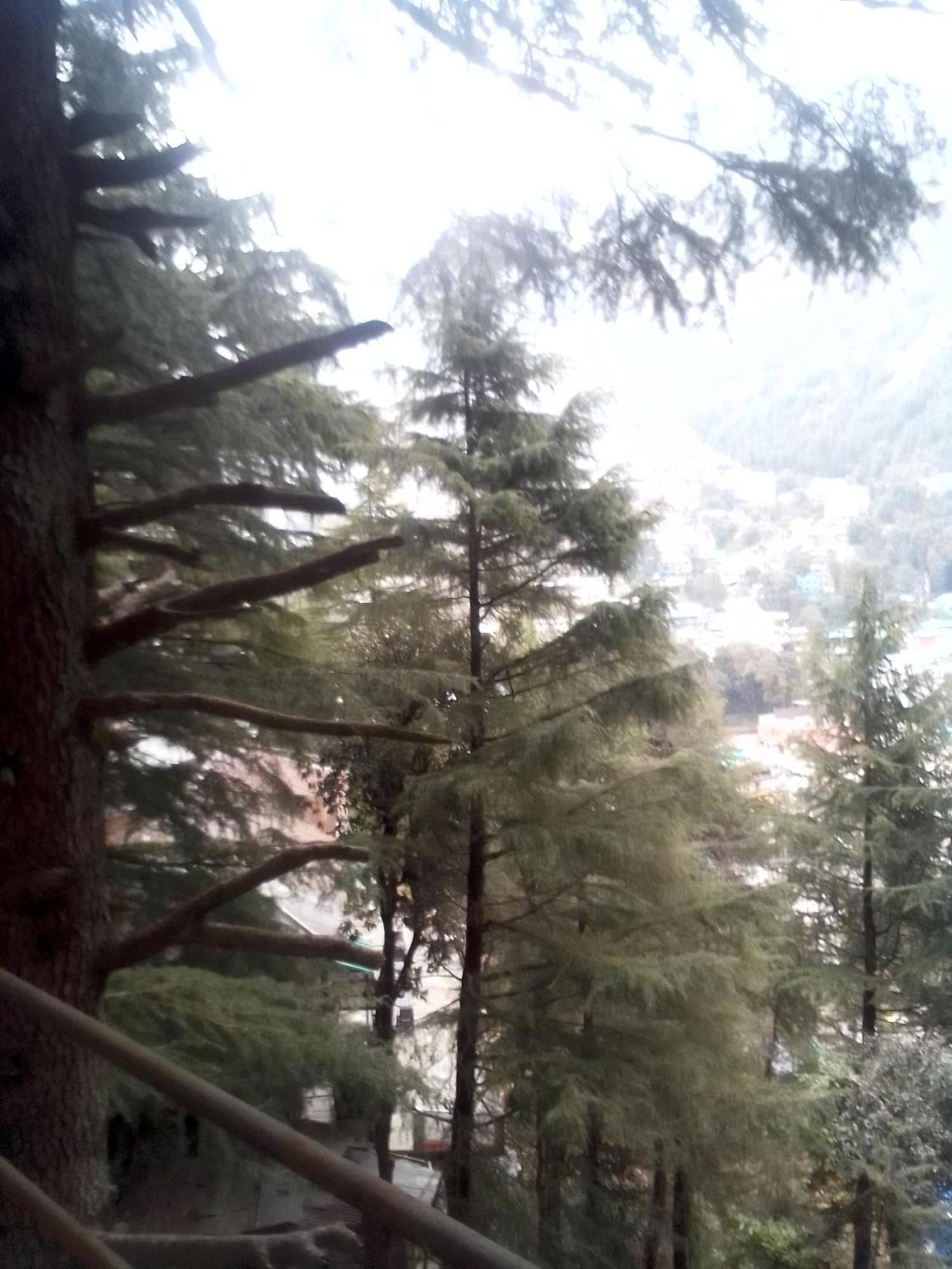 Albergue Himalayan Triund Trekking And Mountain View Dharamshala Exterior foto