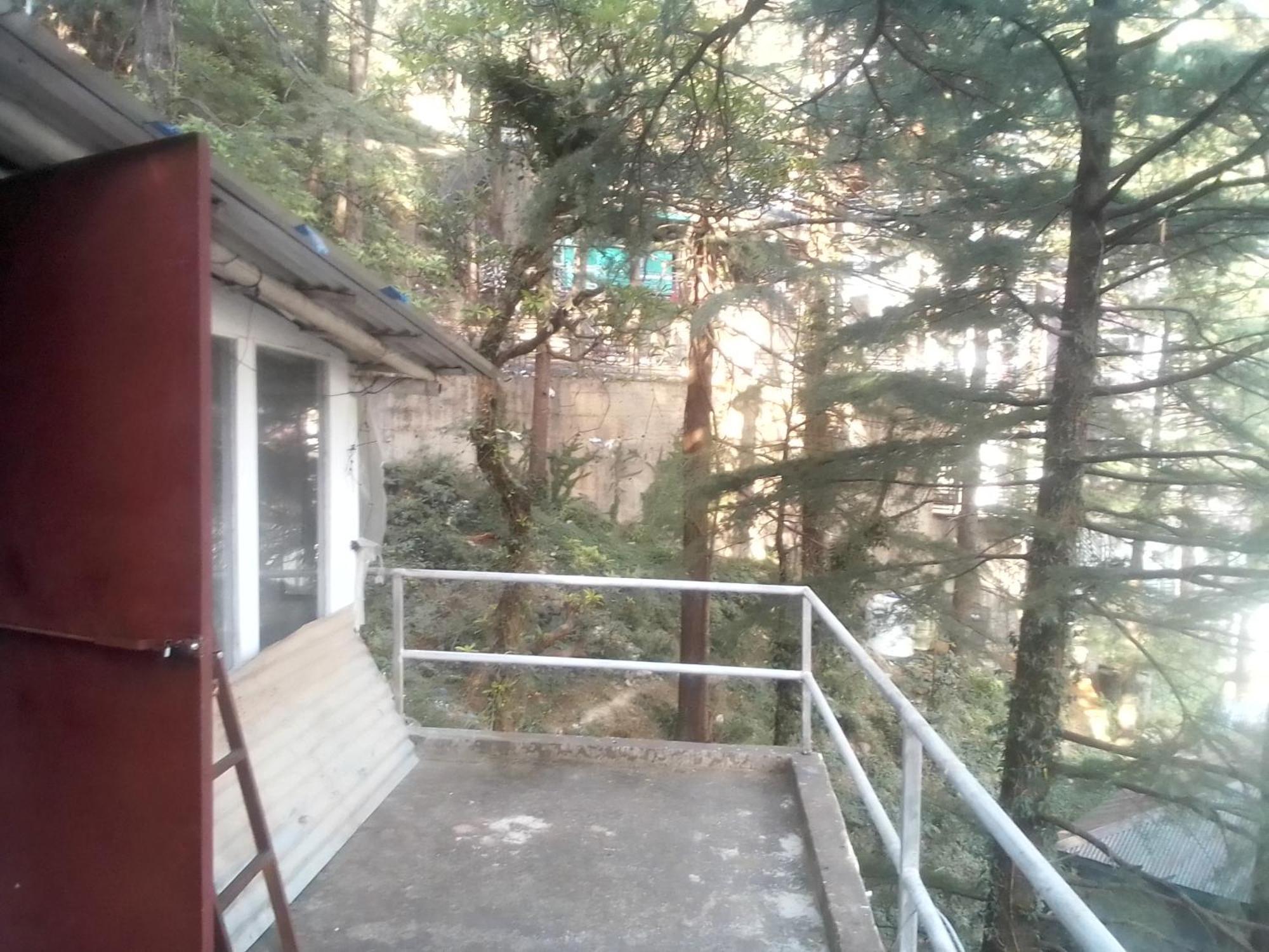 Albergue Himalayan Triund Trekking And Mountain View Dharamshala Exterior foto